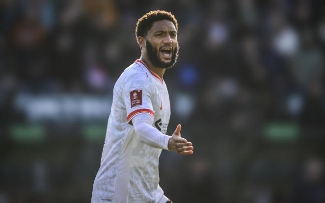 的职业生涯 的职业生涯