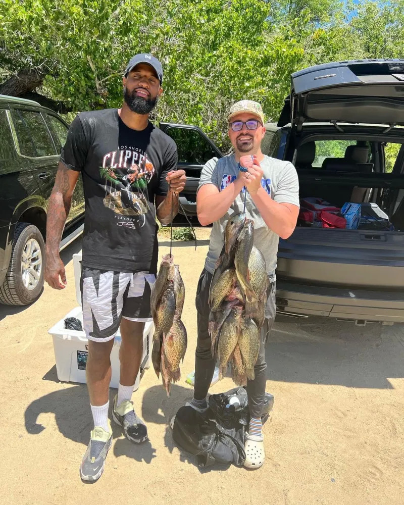 法国VS费 法国VS费