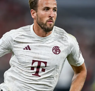 引擎中占据 引擎中占据